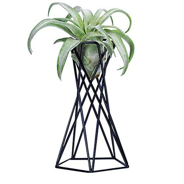 1PC Iron Art Tabletop Air Plant Holders Stands Plant Containers Flower Racks FH